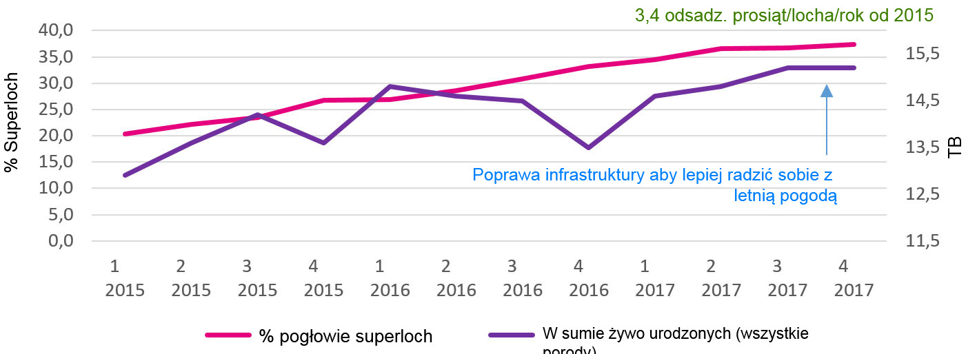 <p>Graph 2. Percentage of supersows&nbsp;and Global total born.</p>
